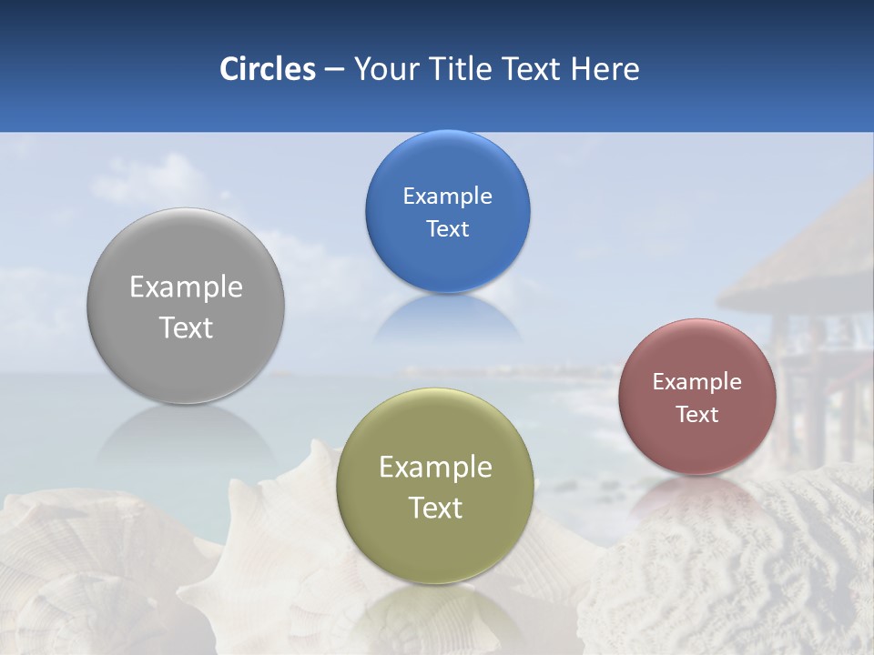 A Group Of Seashells Sitting On A Beach Next To The Ocean PowerPoint Template