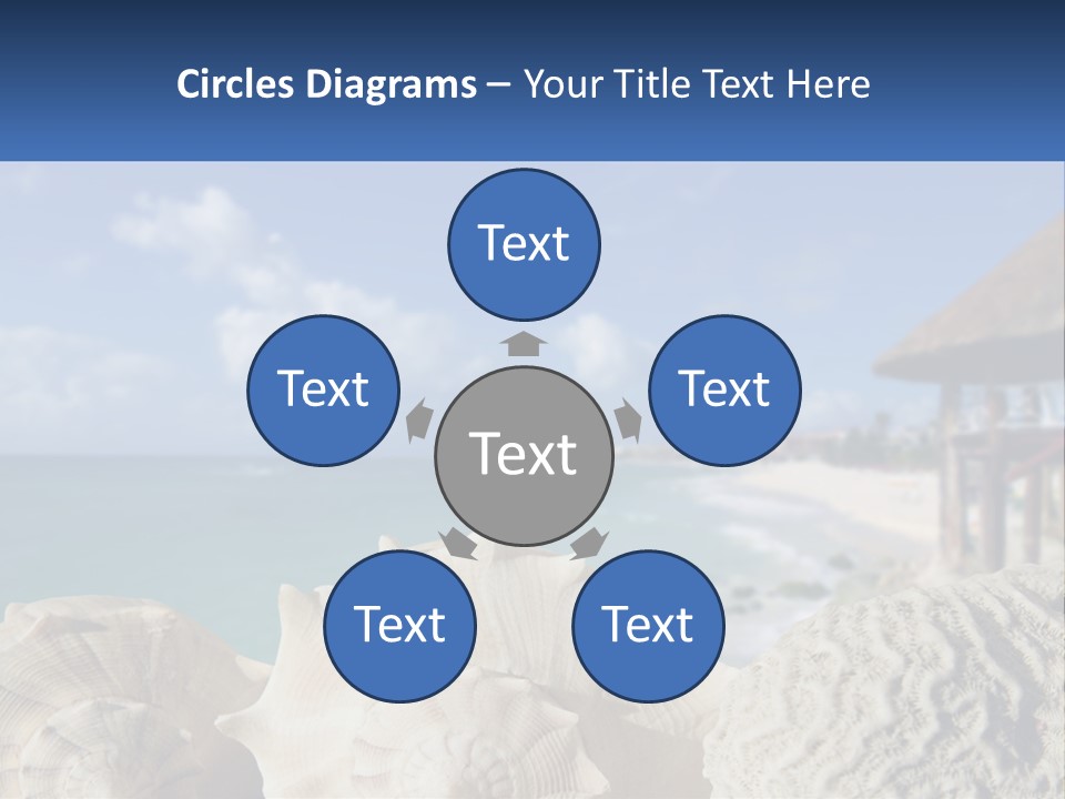 A Group Of Seashells Sitting On A Beach Next To The Ocean PowerPoint Template