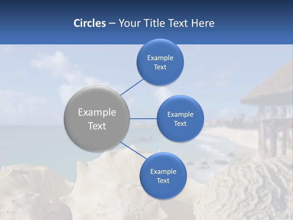 A Group Of Seashells Sitting On A Beach Next To The Ocean PowerPoint Template