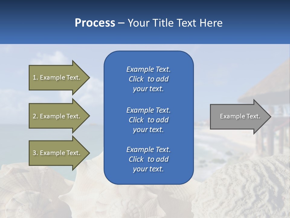 A Group Of Seashells Sitting On A Beach Next To The Ocean PowerPoint Template