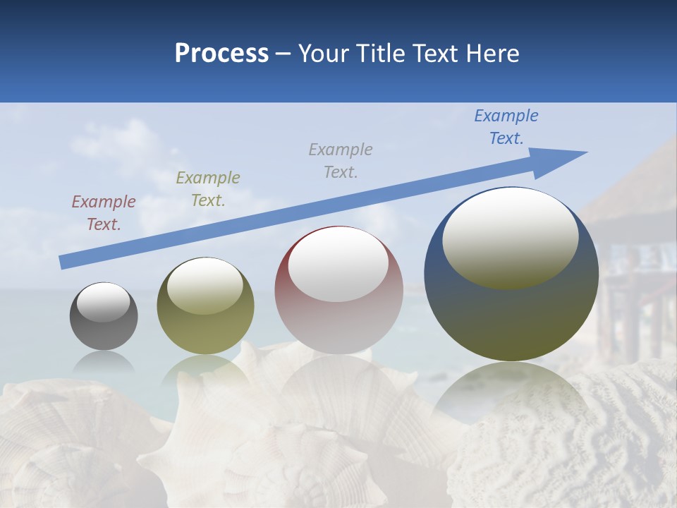 A Group Of Seashells Sitting On A Beach Next To The Ocean PowerPoint Template