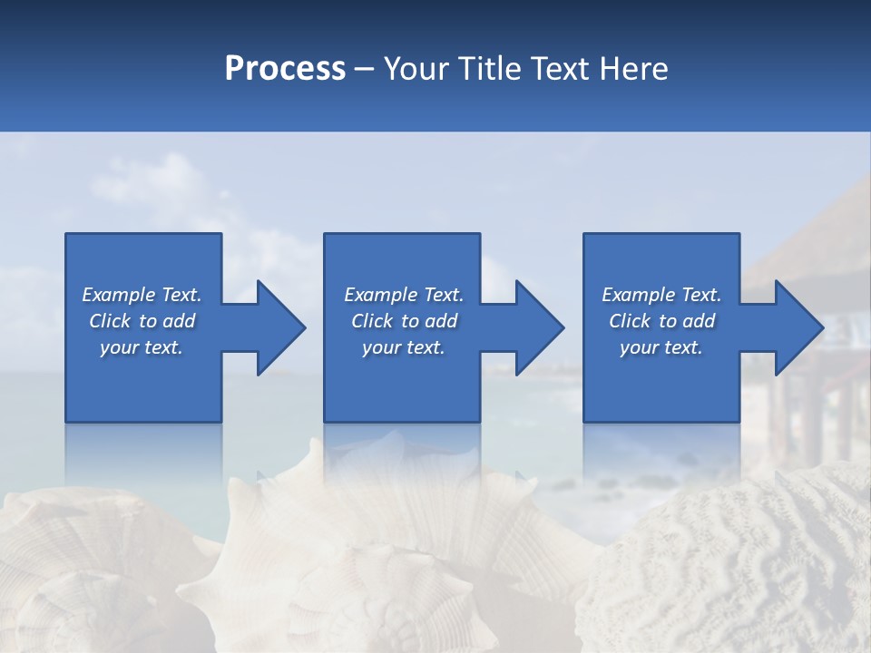 A Group Of Seashells Sitting On A Beach Next To The Ocean PowerPoint Template