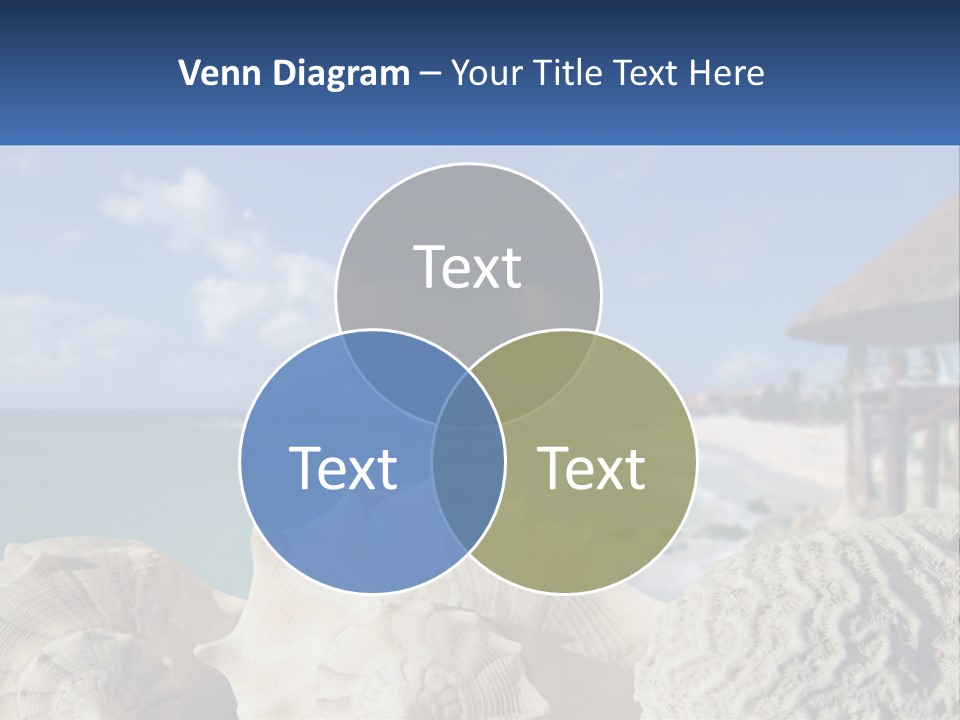 A Group Of Seashells Sitting On A Beach Next To The Ocean PowerPoint Template