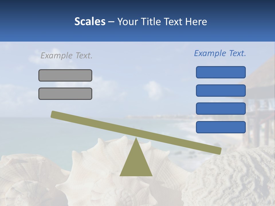 A Group Of Seashells Sitting On A Beach Next To The Ocean PowerPoint Template