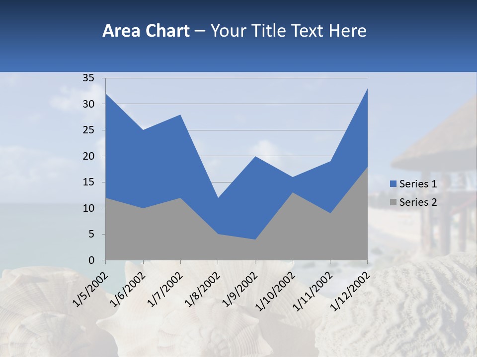 A Group Of Seashells Sitting On A Beach Next To The Ocean PowerPoint Template