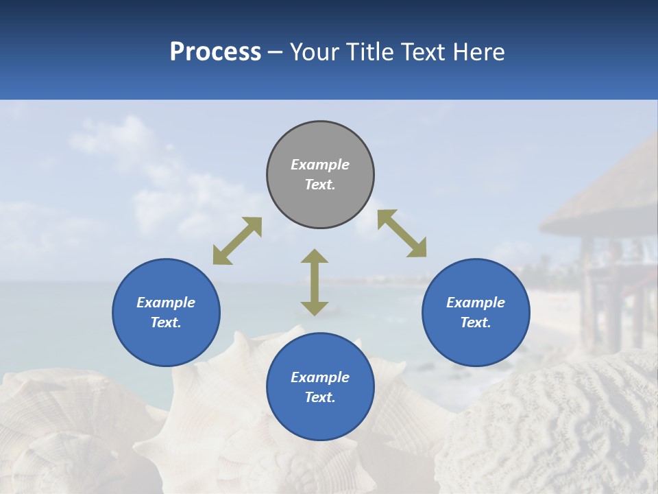 A Group Of Seashells Sitting On A Beach Next To The Ocean PowerPoint Template