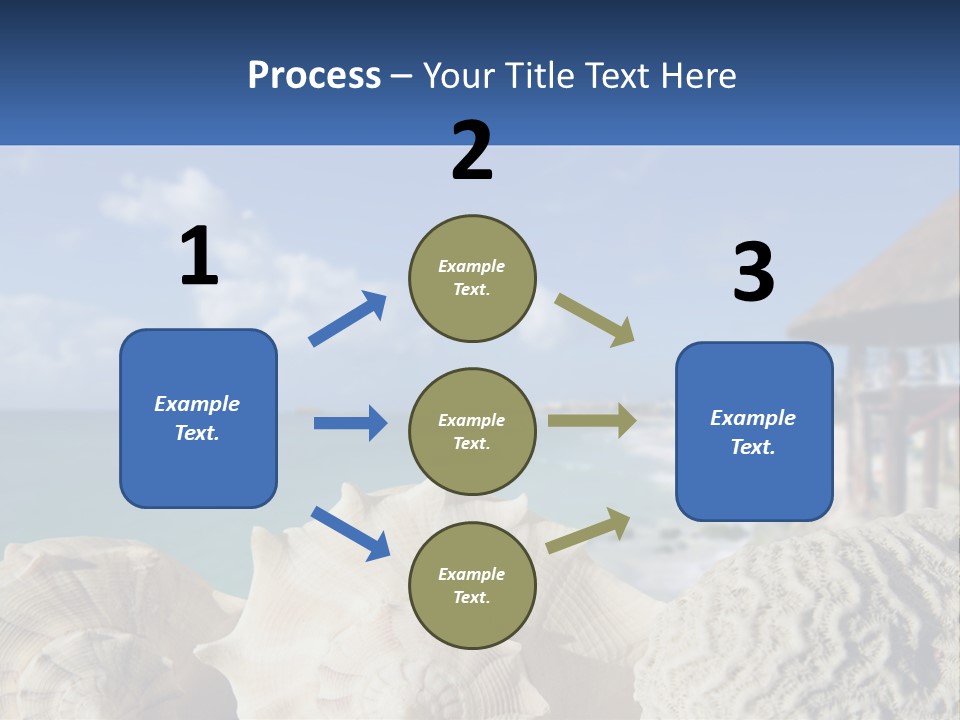 A Group Of Seashells Sitting On A Beach Next To The Ocean PowerPoint Template