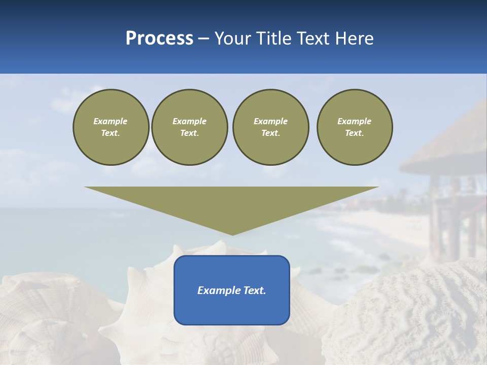 A Group Of Seashells Sitting On A Beach Next To The Ocean PowerPoint Template