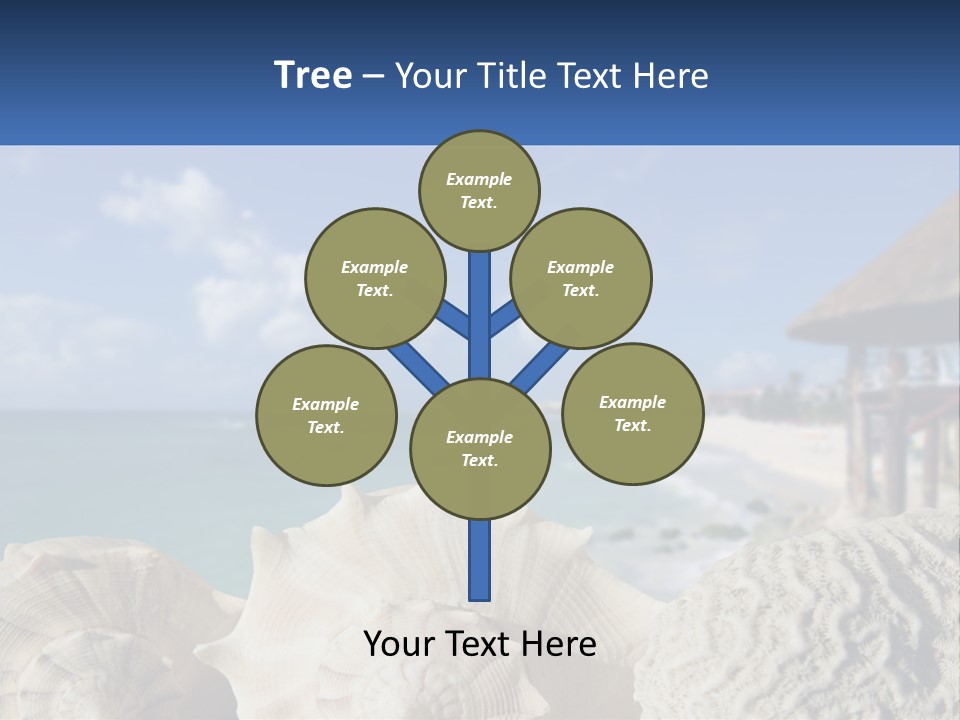 A Group Of Seashells Sitting On A Beach Next To The Ocean PowerPoint Template