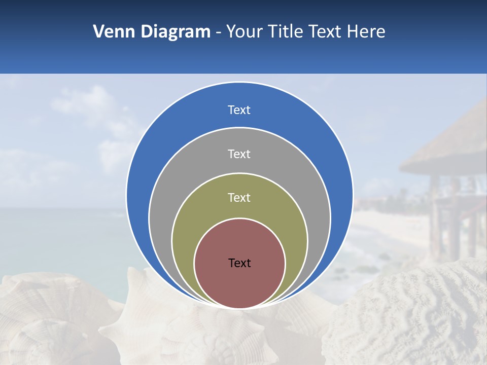 A Group Of Seashells Sitting On A Beach Next To The Ocean PowerPoint Template