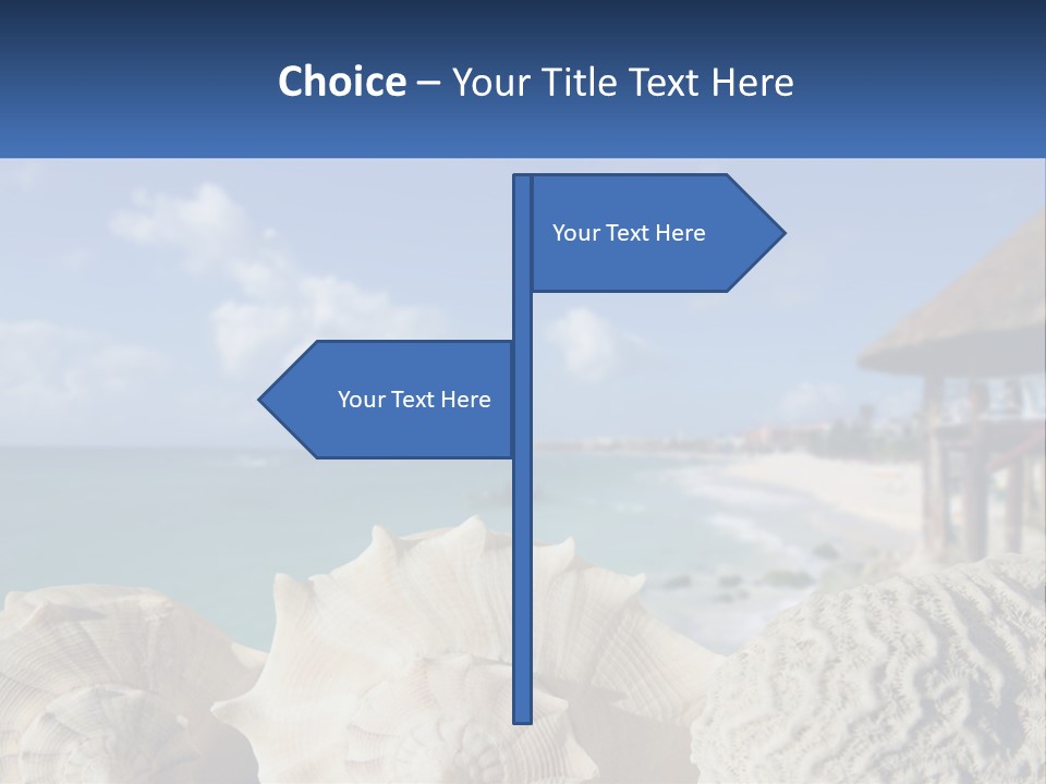 A Group Of Seashells Sitting On A Beach Next To The Ocean PowerPoint Template