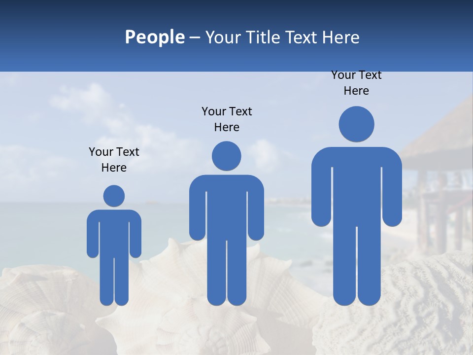 A Group Of Seashells Sitting On A Beach Next To The Ocean PowerPoint Template