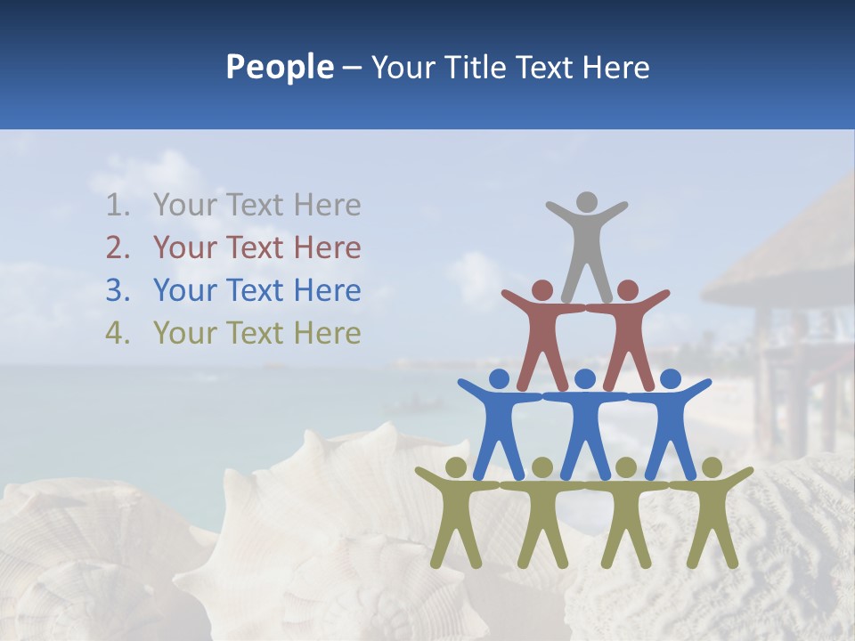 A Group Of Seashells Sitting On A Beach Next To The Ocean PowerPoint Template