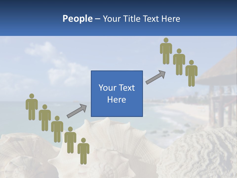 A Group Of Seashells Sitting On A Beach Next To The Ocean PowerPoint Template