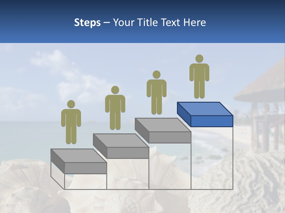 A Group Of Seashells Sitting On A Beach Next To The Ocean PowerPoint Template