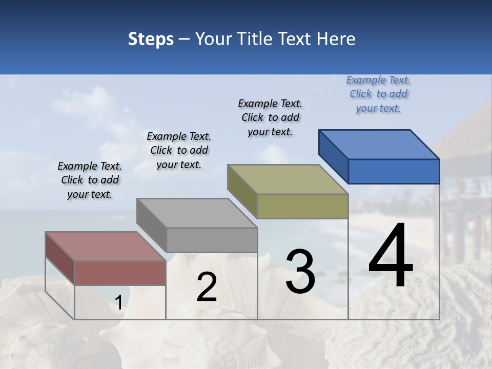 A Group Of Seashells Sitting On A Beach Next To The Ocean PowerPoint Template