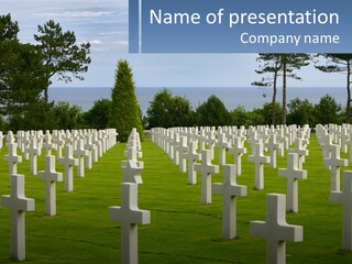 A Large Field Full Of White Crosses With Trees In The Background PowerPoint Template