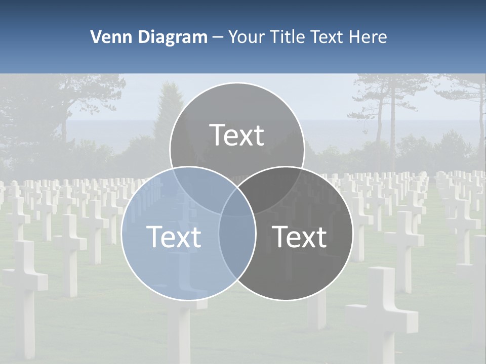 A Large Field Full Of White Crosses With Trees In The Background PowerPoint Template