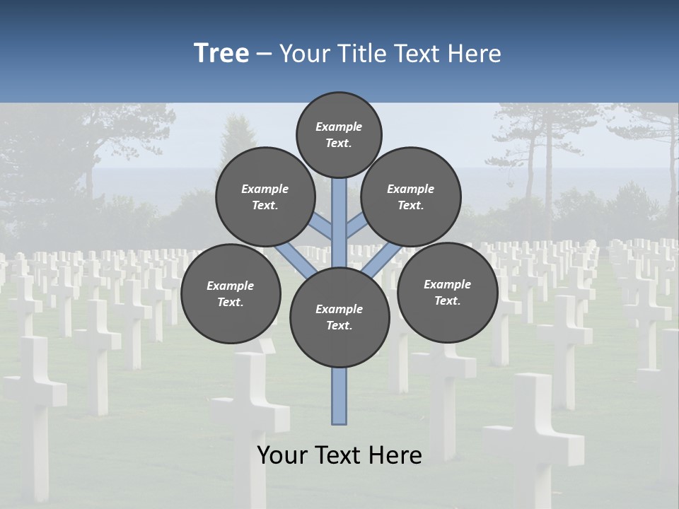 A Large Field Full Of White Crosses With Trees In The Background PowerPoint Template