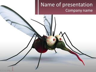 A Mosquito With Two Eyes On It's Body PowerPoint Template