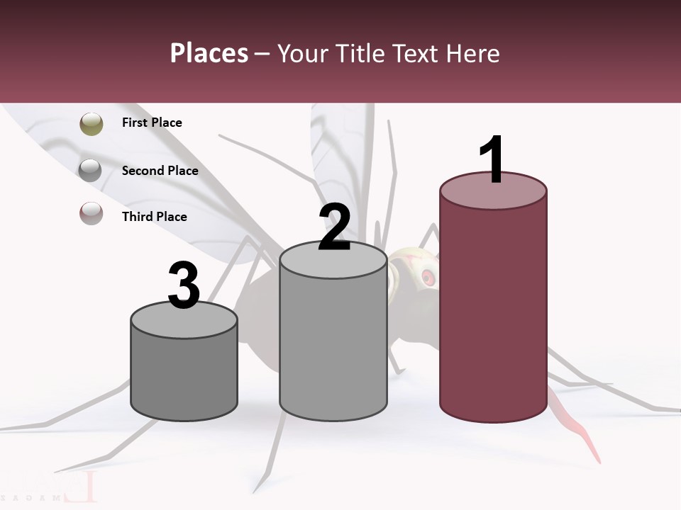 A Mosquito With Two Eyes On It's Body PowerPoint Template