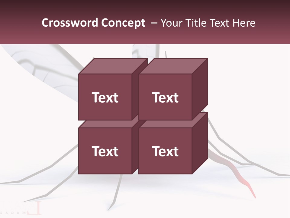 A Mosquito With Two Eyes On It's Body PowerPoint Template