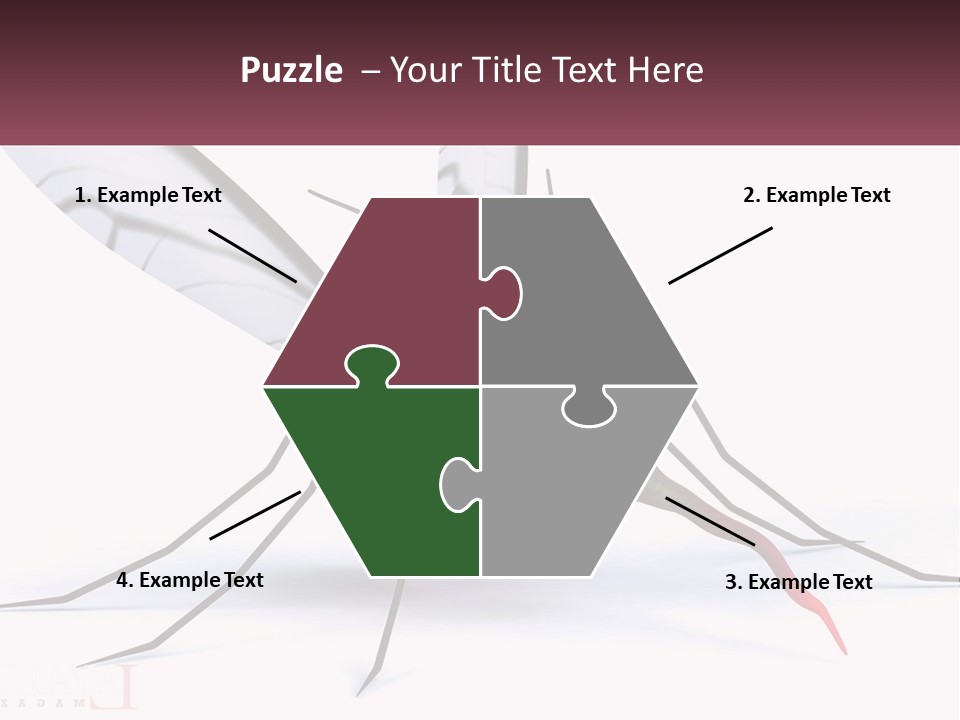 A Mosquito With Two Eyes On It's Body PowerPoint Template