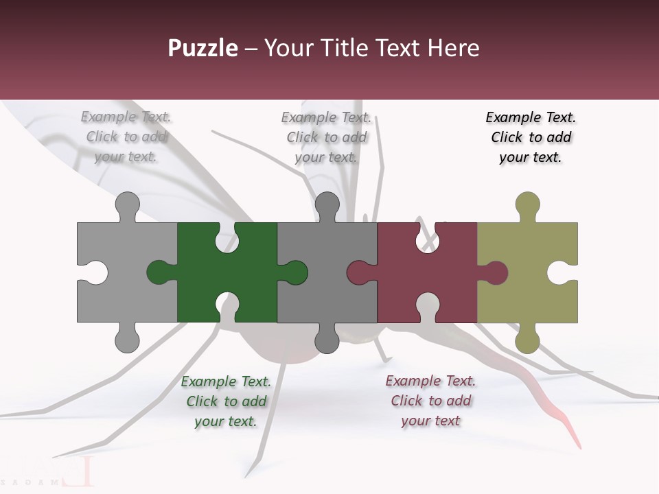 A Mosquito With Two Eyes On It's Body PowerPoint Template