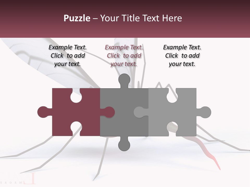 A Mosquito With Two Eyes On It's Body PowerPoint Template