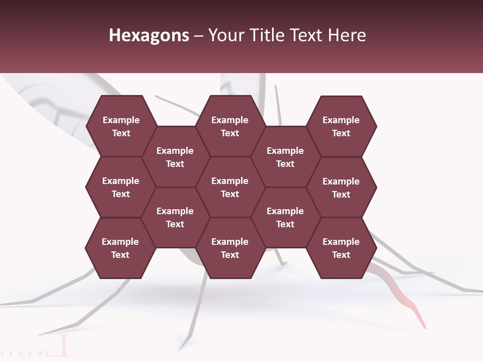 A Mosquito With Two Eyes On It's Body PowerPoint Template