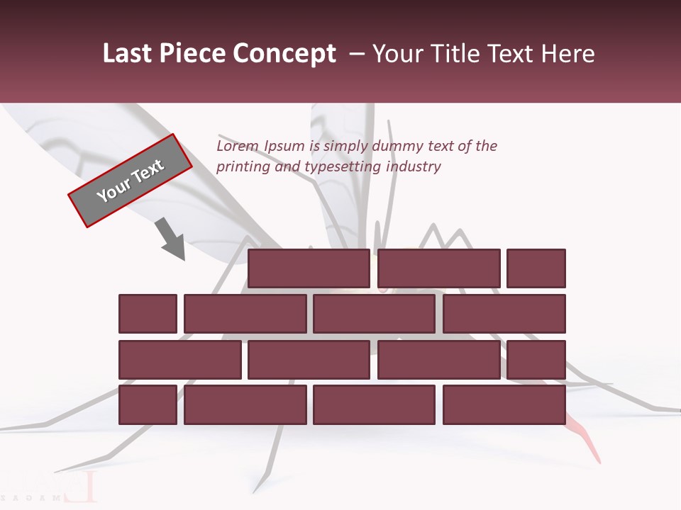 A Mosquito With Two Eyes On It's Body PowerPoint Template