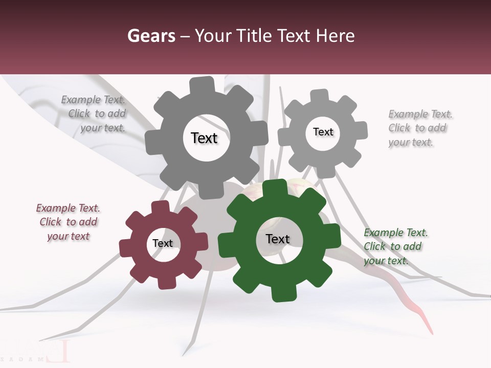 A Mosquito With Two Eyes On It's Body PowerPoint Template
