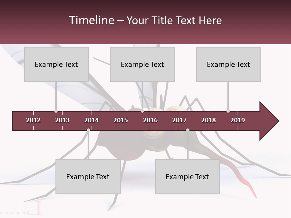 A Mosquito With Two Eyes On It's Body PowerPoint Template
