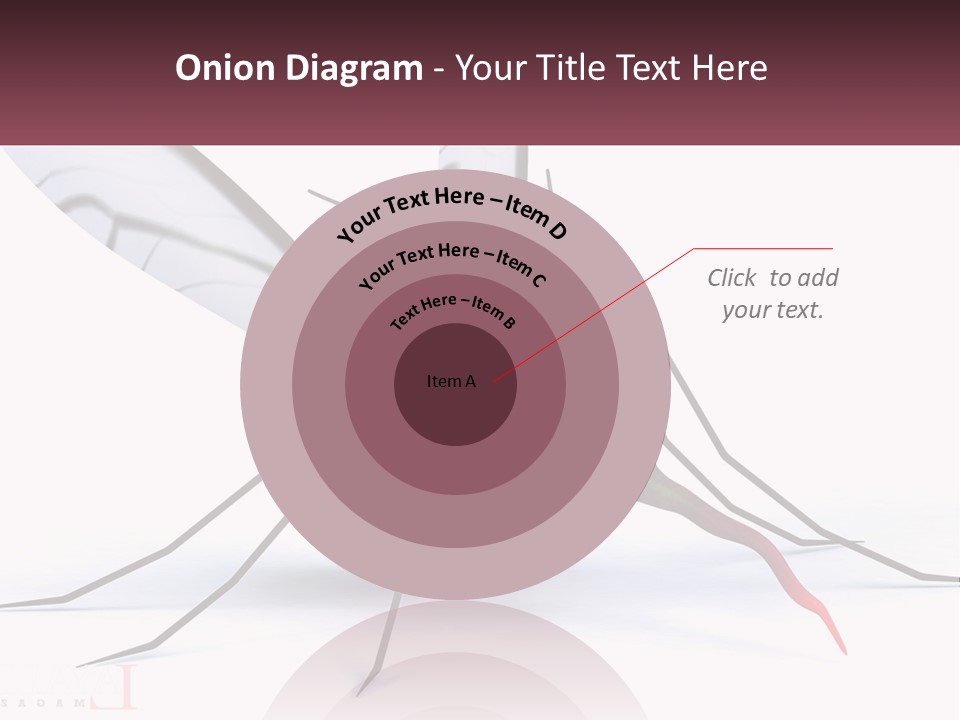 A Mosquito With Two Eyes On It's Body PowerPoint Template