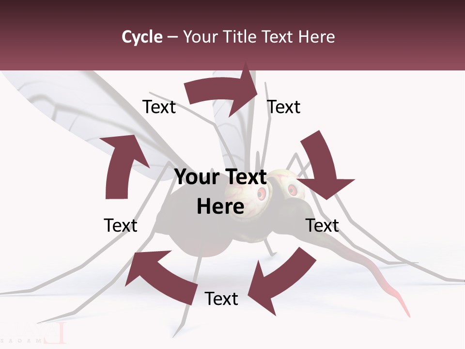 A Mosquito With Two Eyes On It's Body PowerPoint Template