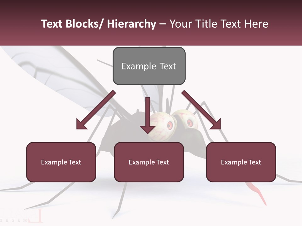 A Mosquito With Two Eyes On It's Body PowerPoint Template