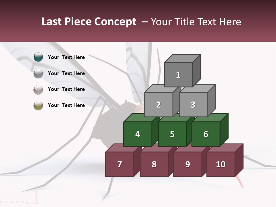A Mosquito With Two Eyes On It's Body PowerPoint Template