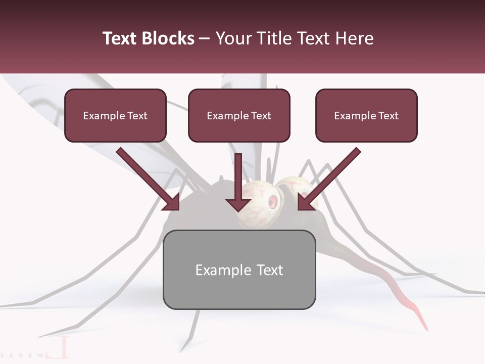 A Mosquito With Two Eyes On It's Body PowerPoint Template