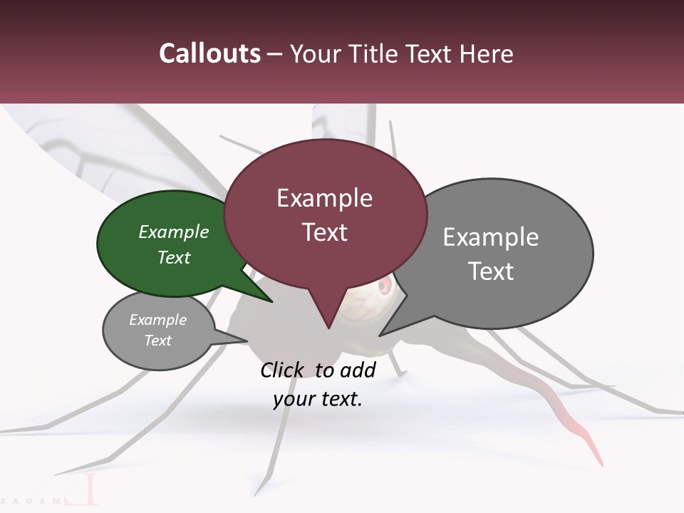 A Mosquito With Two Eyes On It's Body PowerPoint Template