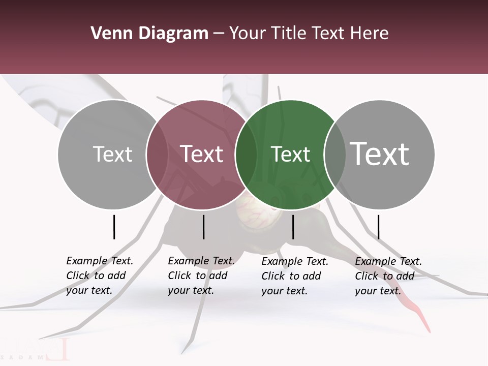 A Mosquito With Two Eyes On It's Body PowerPoint Template