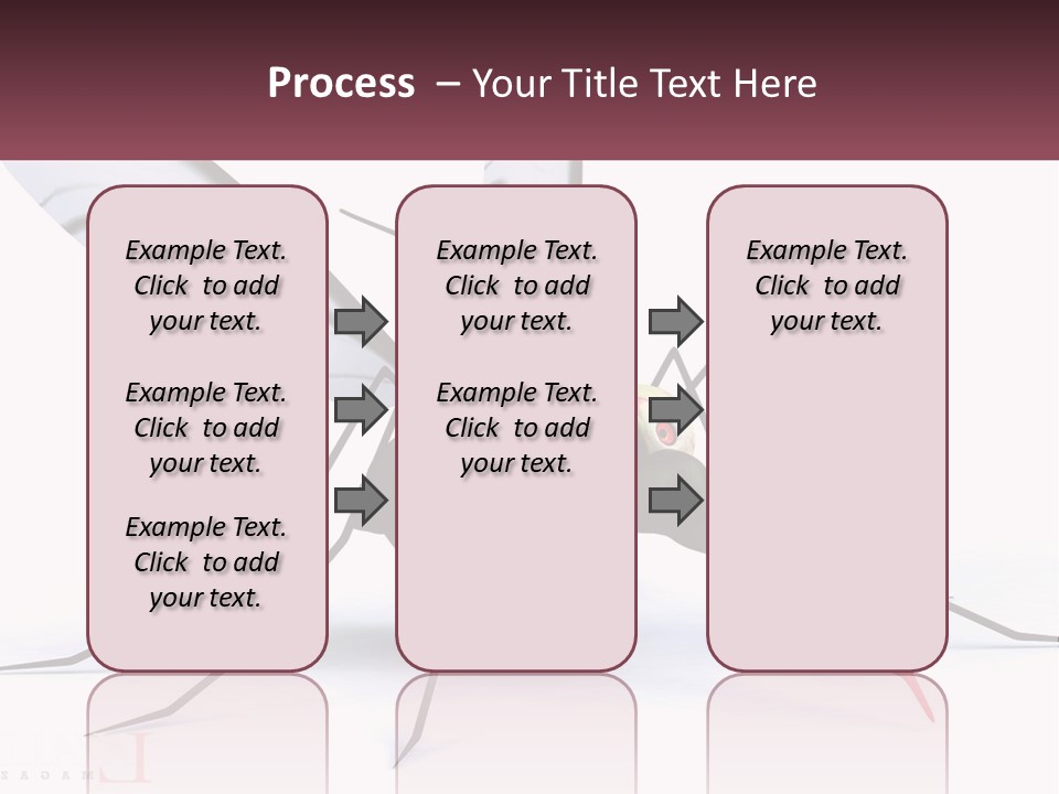 A Mosquito With Two Eyes On It's Body PowerPoint Template