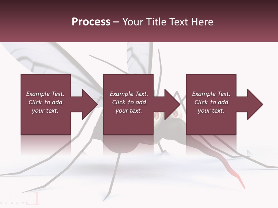 A Mosquito With Two Eyes On It's Body PowerPoint Template
