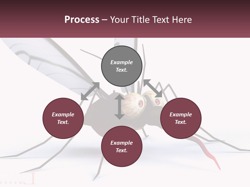 A Mosquito With Two Eyes On It's Body PowerPoint Template