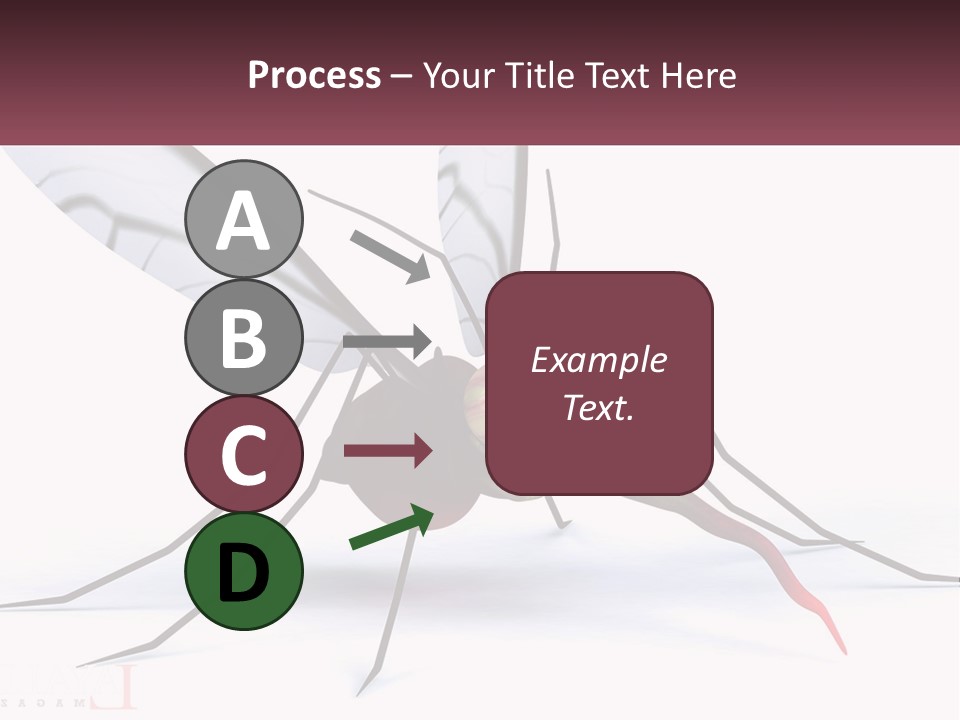 A Mosquito With Two Eyes On It's Body PowerPoint Template