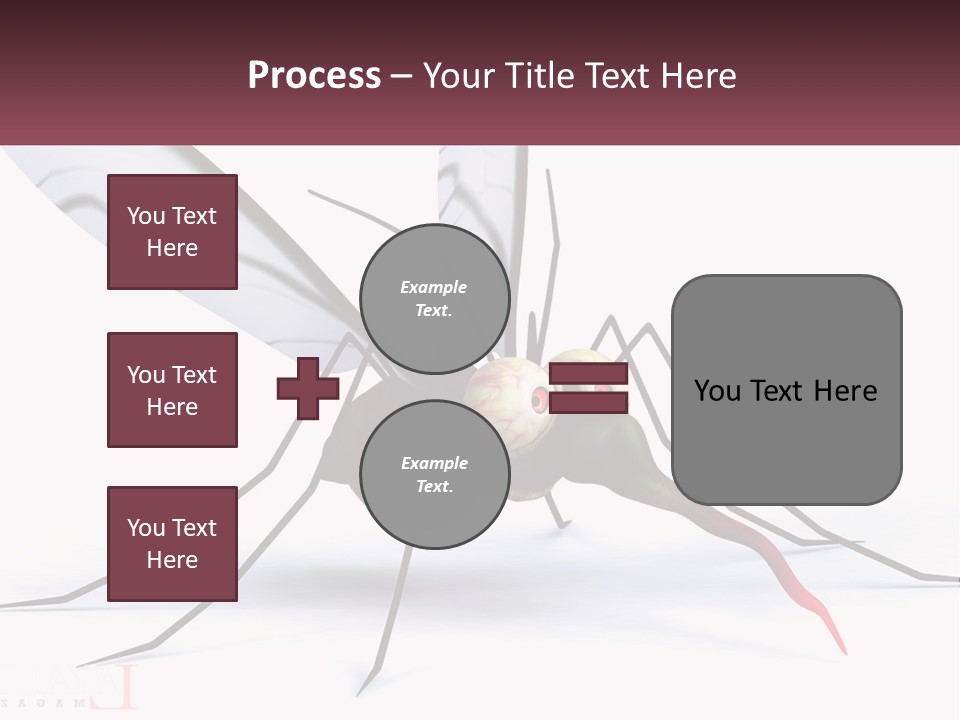 A Mosquito With Two Eyes On It's Body PowerPoint Template