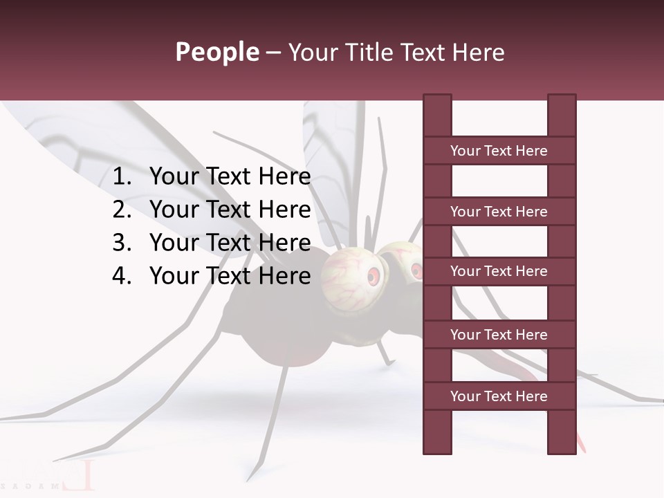 A Mosquito With Two Eyes On It's Body PowerPoint Template