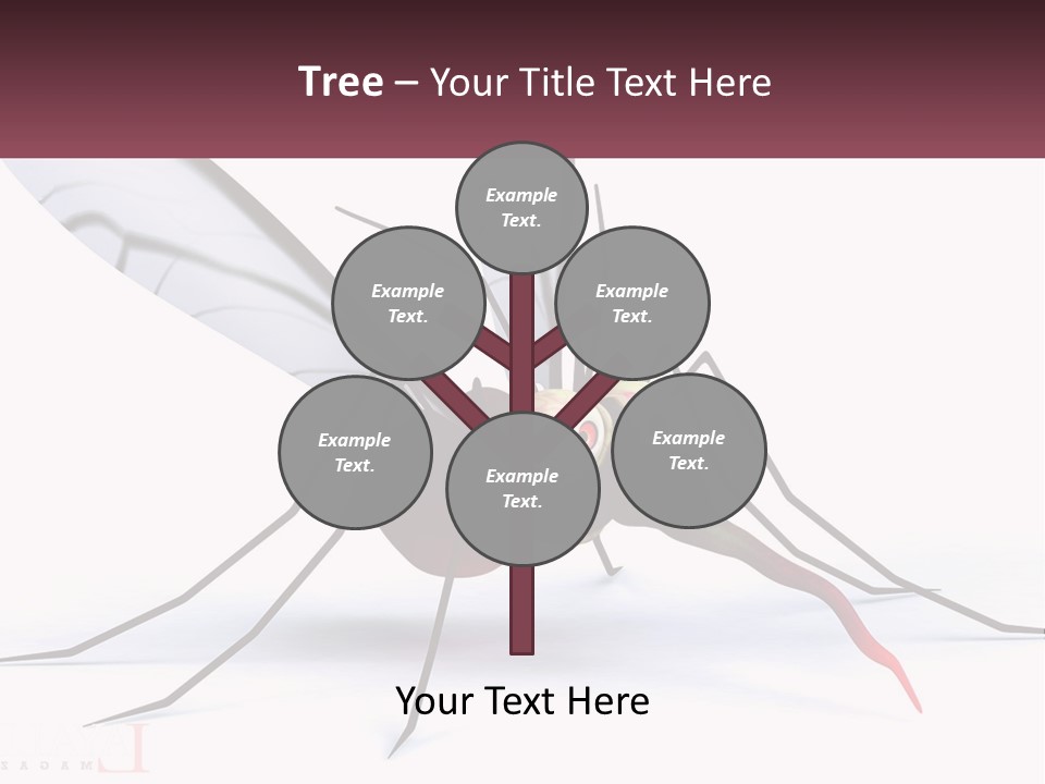A Mosquito With Two Eyes On It's Body PowerPoint Template