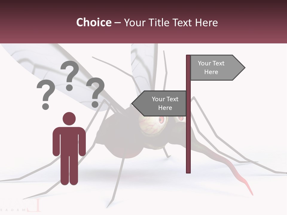 A Mosquito With Two Eyes On It's Body PowerPoint Template