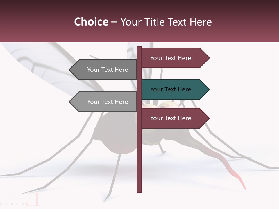 A Mosquito With Two Eyes On It's Body PowerPoint Template