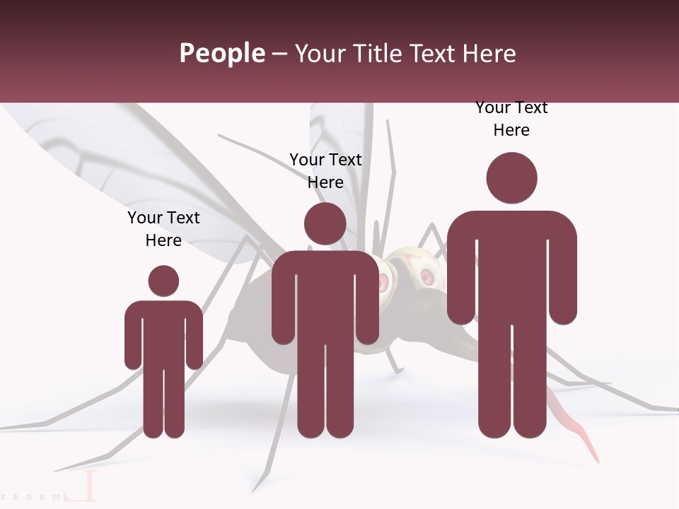 A Mosquito With Two Eyes On It's Body PowerPoint Template